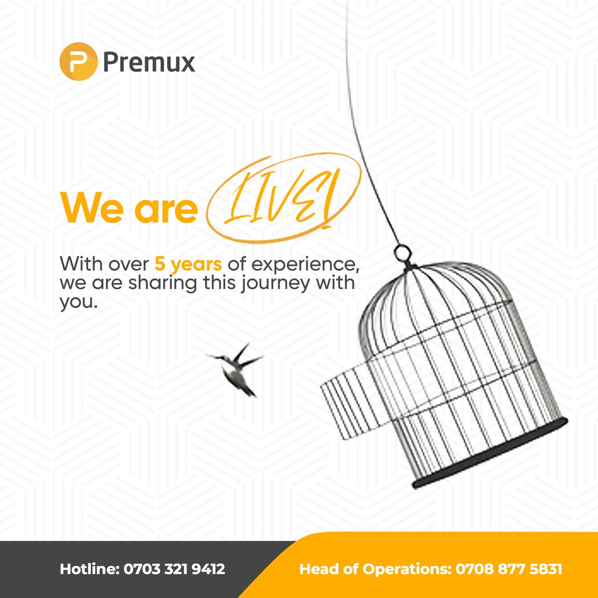 PremuxEducation's tweet photo. Exciting News! 🎉

Premux Education is proud to officially open our new branch in the heart of this vibrant city, Ikeja, and we want you to be a part of this journey with us.

Asisat oshola #bluehorizon Lp and PDP justice Tsammani Arise Tv SAns Fuoye https://t.co/er9oaKQYVm
