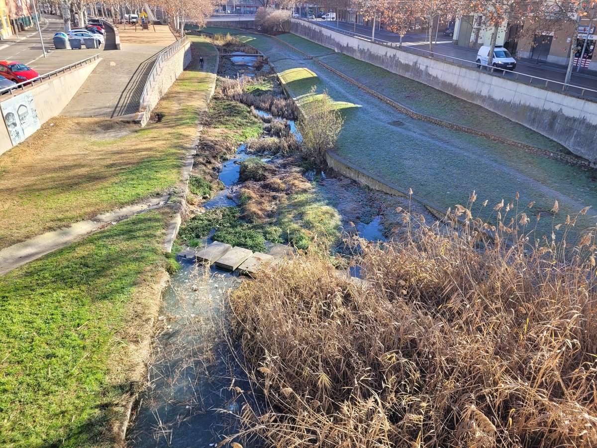 Vic Medi Ambient tweet media