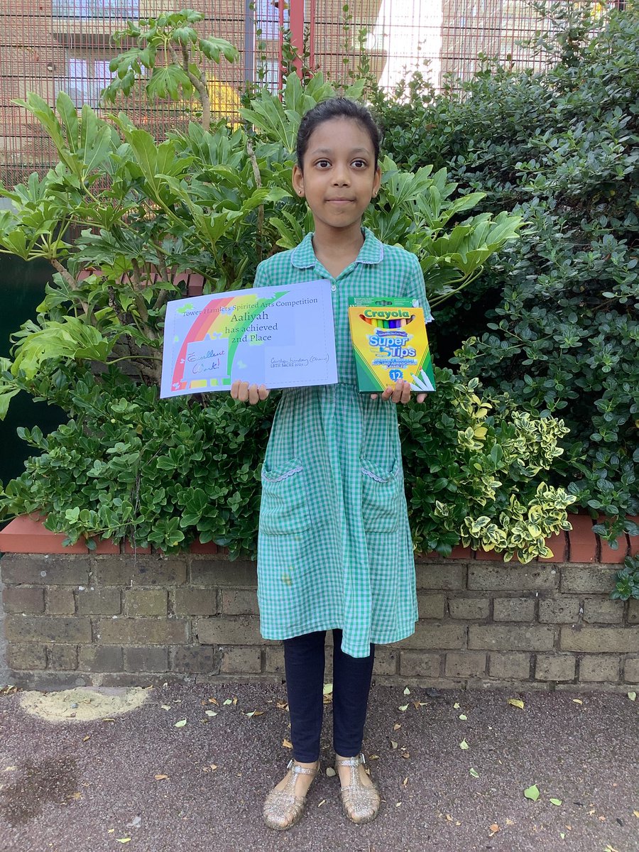 Halley Year 4 tweet media