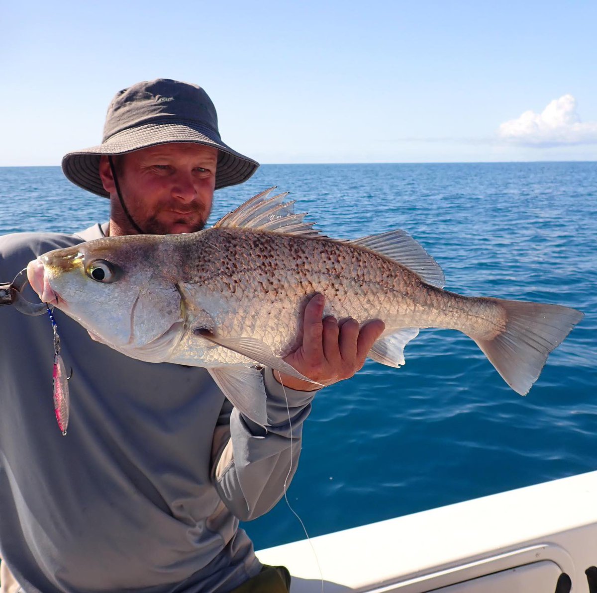 palms_global's tweet photo. SLJ with Slow Blatt cast WIDE in QLD, Australia 🇦🇺
Lure: Slow Blatt WIDE 40g
#palmsfishing #grunter #fishingqld #fishingaustralia #australiafishing #fishingaus #aussiefishing #ejtodd @ej_todd @palms_japan https://t.co/pIdaxQiKx6
