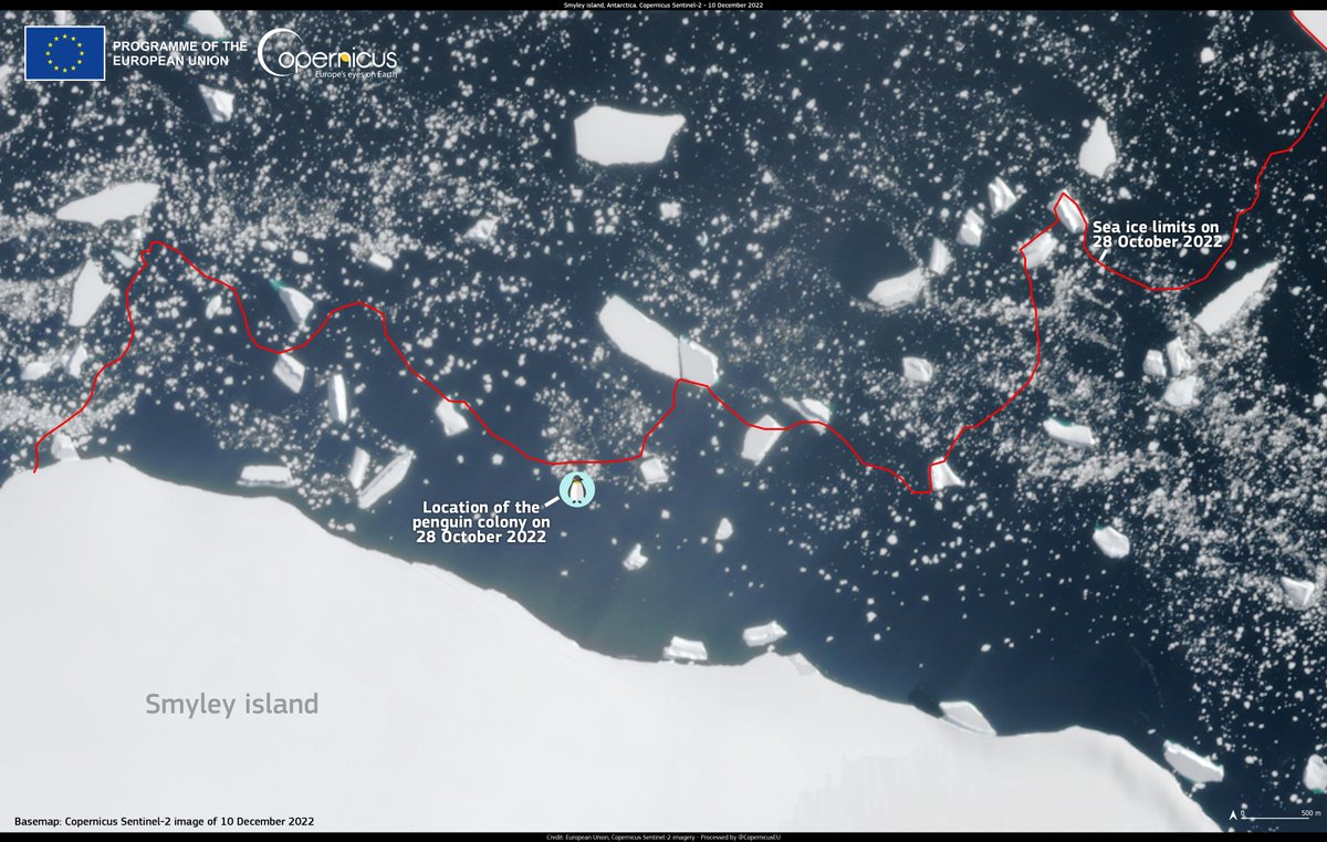 #ImageOfTheDay In 2022, four emperor #penguin colonies 🐧'skipped a generation🐣' due to premature sea ice melting along the coast of the Bellingshausen Sea in #Antarctica 🇦🇶 This discovery was made possible thanks to #Copernicus #Sentinel2 🇪🇺🛰️ data ‼️