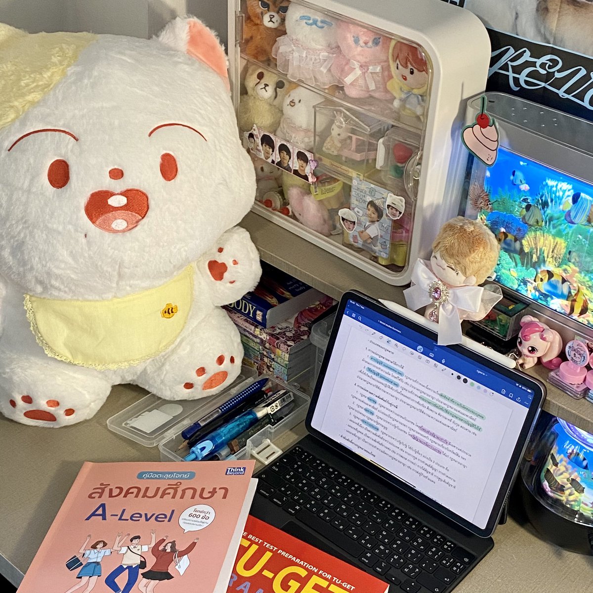 Bibbidiboooh's tweet photo. ౨ৎ #Jormorrupdate
date : 07/09/2023
𓇼 social studies : คู่มือตะลุยโจทย์สังคม a-level 5/15
𓇼 english : Tu-get sentence completion review-test 5/12 , Cu-tep grammar จบเล่ม ✓
𓇼 thai : แนวข้อสอบ a-level จบเล่ม ✓
𓇼 medical aptitude : ความถนัดแพทย์ จบเล่ม ✓ https://t.co/3cet2Cwv8N