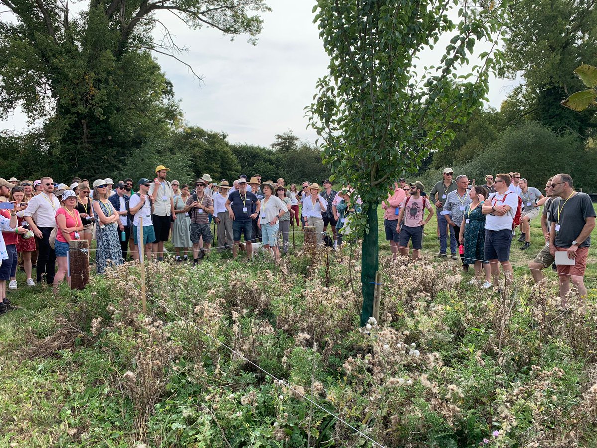 The farm walkers checking out the different #agroforestry systems on show at the #AgroforestryShow

-Adding climate resilience
-Providing shade for crops &amp; livestock
-Bringing in habitats for wildlife
-Supplying extra income in tree products

So many benefits!

@WoodlandTrust