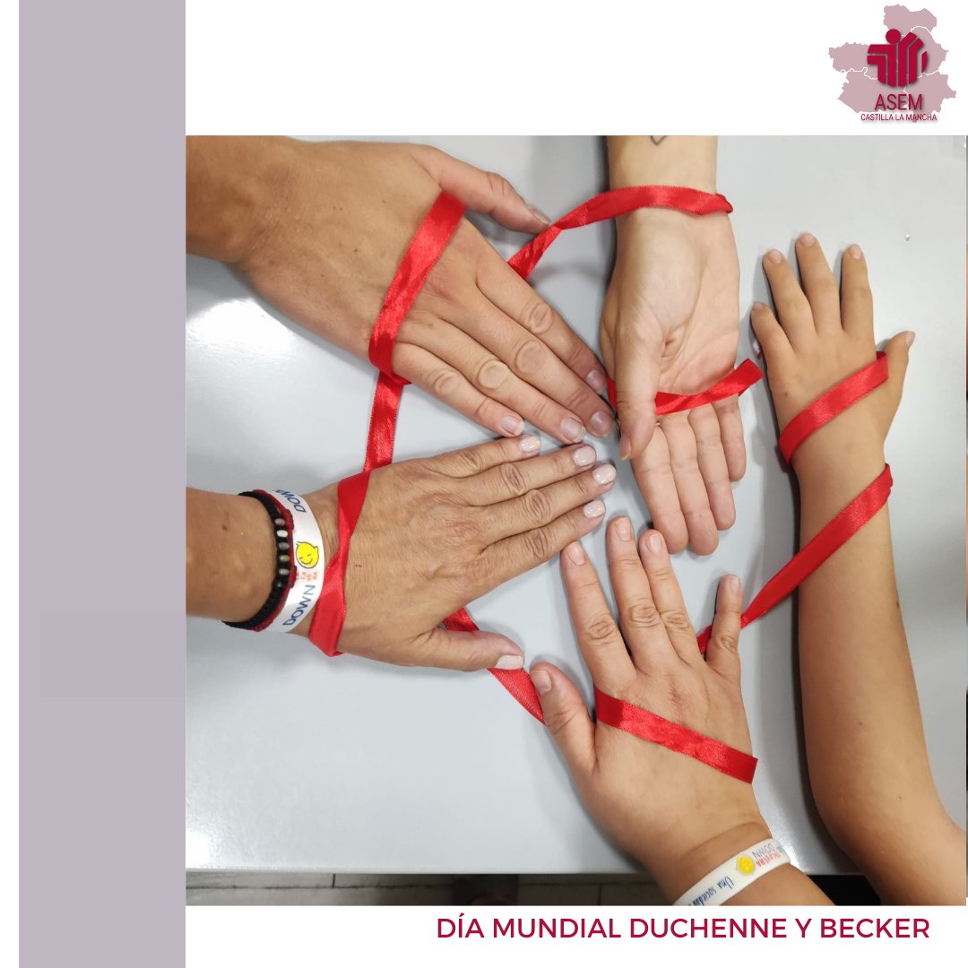 AsemClm's tweet photo. 🔴DÍA MUNDIAL DE CONCIENCIACIÓN DE DUCHENNE Y BECKER
¿Te sumas a nuestra conmemoración?
Nuestros amigos de @downtalavera ya forman parte de #ellazorojoquenosune.
*
*
#asemclm #enfermedadesneuromusculares #enfermedadesraras #ENM #ER #redasem https://t.co/T2tmNBmx3n