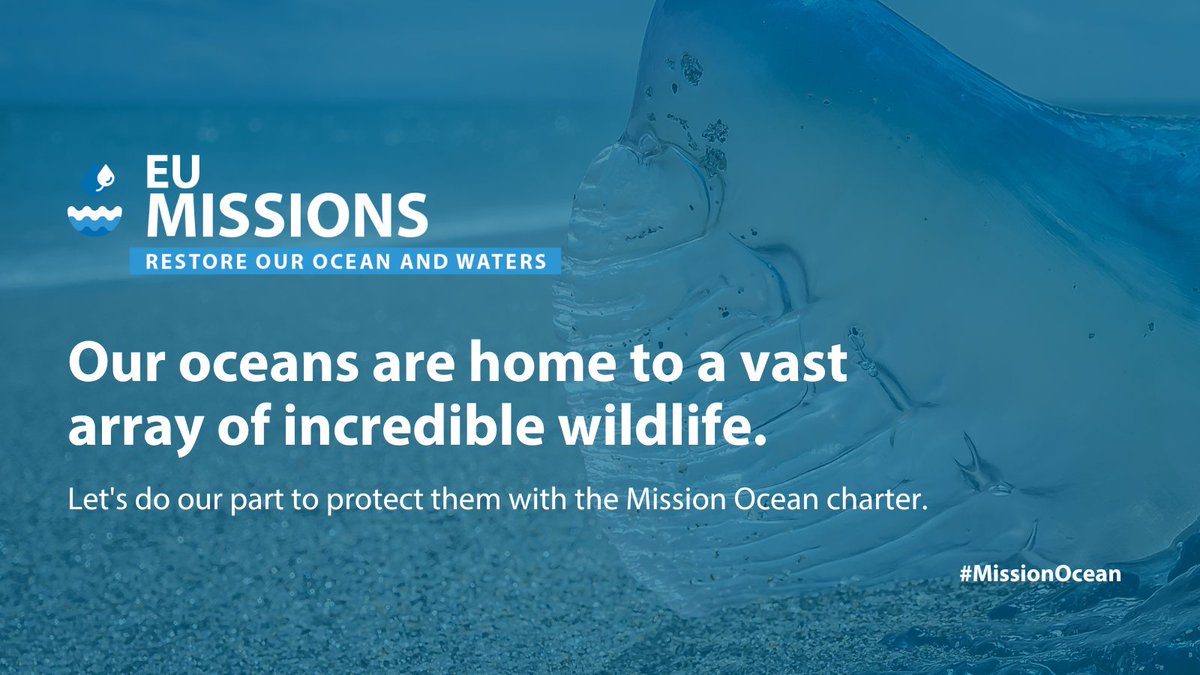 OurMissionOcean's tweet photo. 🐋 Our oceans are facing unprecedented challenges, from pollution to overfishing. That's why we're proud to support the Mission Ocean charter and its efforts to protect and preserve our oceans.

#MissionOcean #EUMissions #HorizonEU https://t.co/qlIEe0NsP5