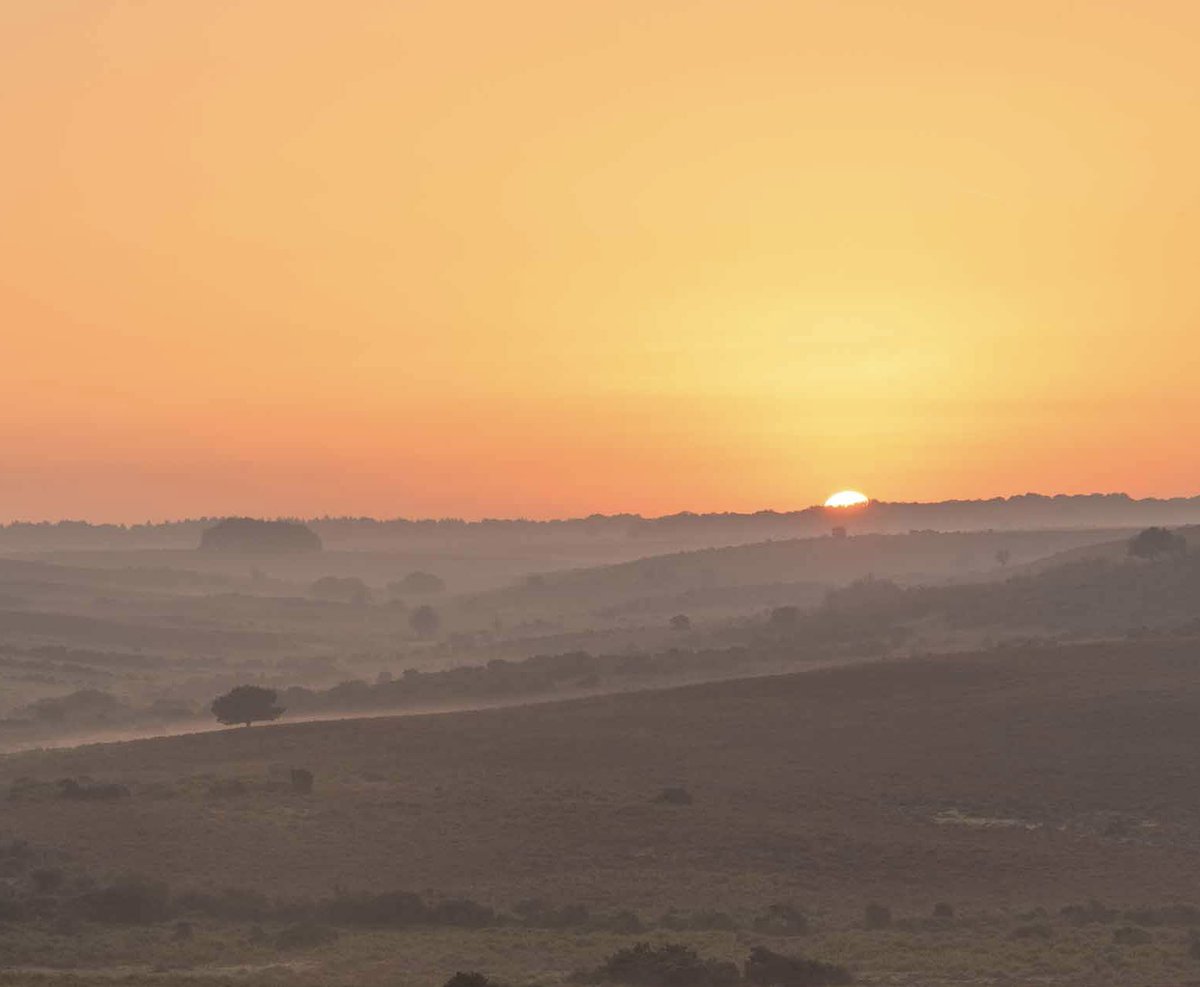 BeachBramble's tweet photo. A hazy New Forest sunrise this morning 🧡
#newforest #sunrise #septemberheatwave #heatwave #newforestponies https://t.co/TT3HiFaWti