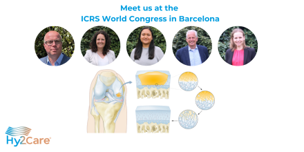 Meet our team at the ICRS congress 2023 in Barcelona next week to hear more about Hy2Care’s CartRevive™ hydrogel implant, aimed to facilitate the repair of traumatic #cartilagedefects. Feel free to contact us to schedule a personal meeting. @CartilageRepair