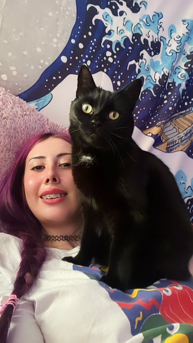 meow :3 https://t.co/n2fWcxImta