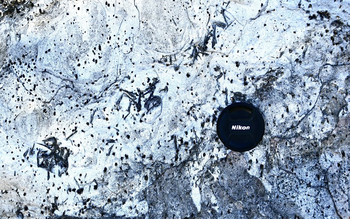 The lesser spotted black kyanite with some staurolite in a muscovite schist. Lovely rocks on an even better beach. Not a #thinsectionthursday