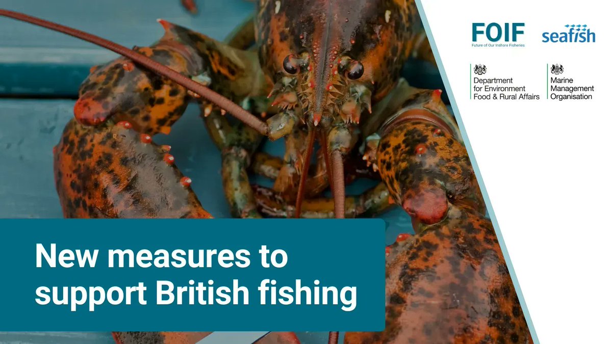 @DefraGovUK recently announced new measures to support the British fishing industry. Among them are: 🐟 6 #FisheriesManagementPlans 🎣 Consultations on #REM & #discards ⚓ More quota for <10m vessels Read more: buff.ly/3OB2qDr