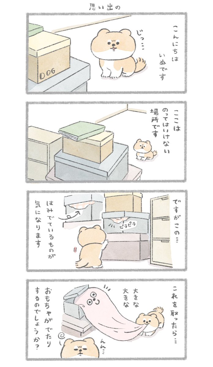 乗ってはいけない場所とおいぬ #こんにちはいぬです