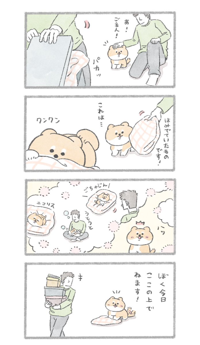 乗ってはいけない場所とおいぬ #こんにちはいぬです