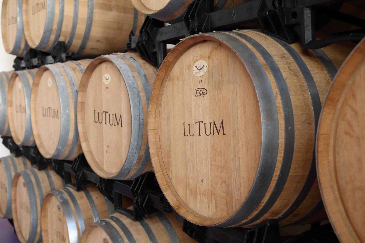 BodegasPeral's tweet photo. Aquí dentro ocurren cosas maravillosas... ¡Entra en nuestra web, reserva tu visita y comprobarás de lo que estamos hablando! 😍😉
Escoge el pack que mejor se adapte a tus gustos 👉👉 https://t.co/IjF5XLl3lb
↙️⬇️↘️
https://t.co/JDVcBx7xVr
#bodegasperal https://t.co/SlPgPe80b5