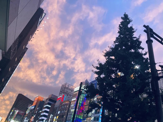 空が青とオレンジのレースのスカートみたいにひらひらで綺麗。