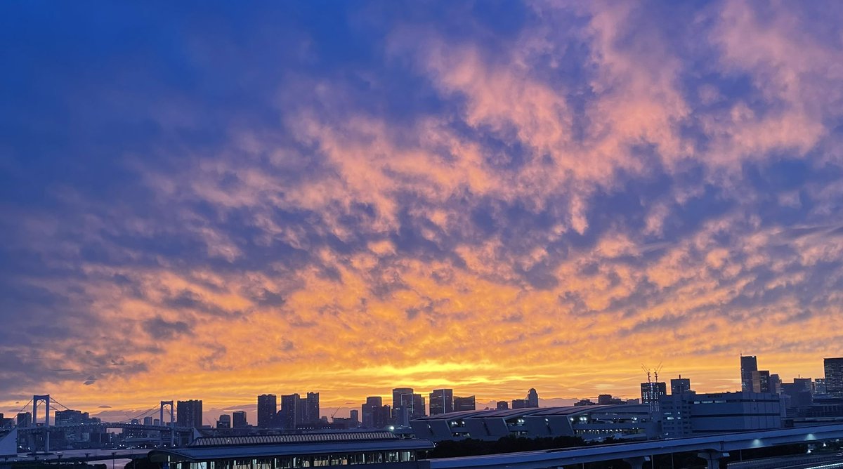 昼間はまだ暑さが残るけど、最近の夕焼けはすっかり秋模様🌇