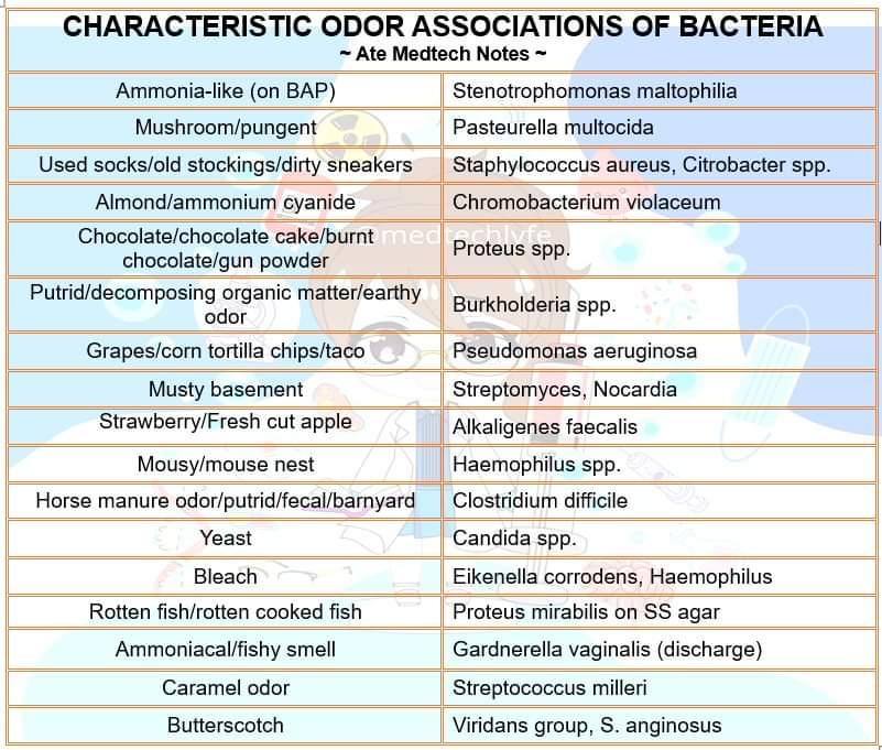 medtechlyfe's tweet photo. ODOR ASSOCIATIONS 📌 #medtechtwt #studytwt #medtechlife https://t.co/aAYICItJY4