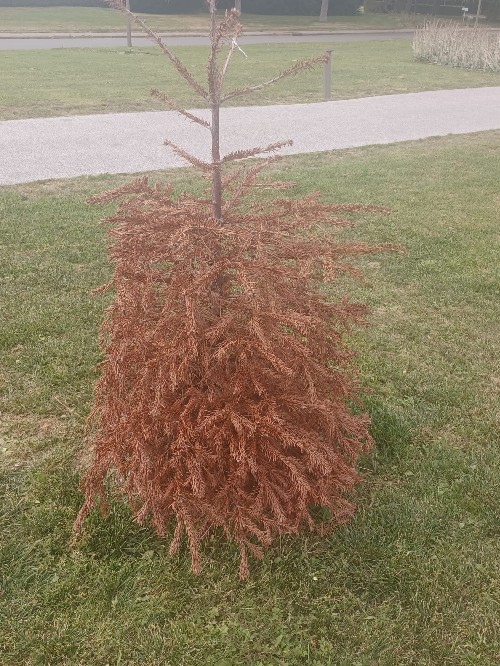 Hôpital MGEN de la Verrière tweet media