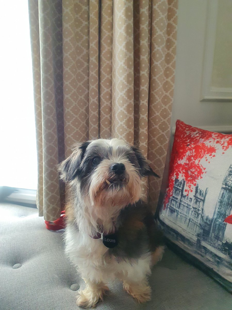 Dear furry friends,  

Due to the extreme weather predicted, Saturday’s Chelsea Dog Day has been cancelled. As we are dog lovers and we really value our four-legged friends' wellbeing, we have decided to cancel all planned activities.