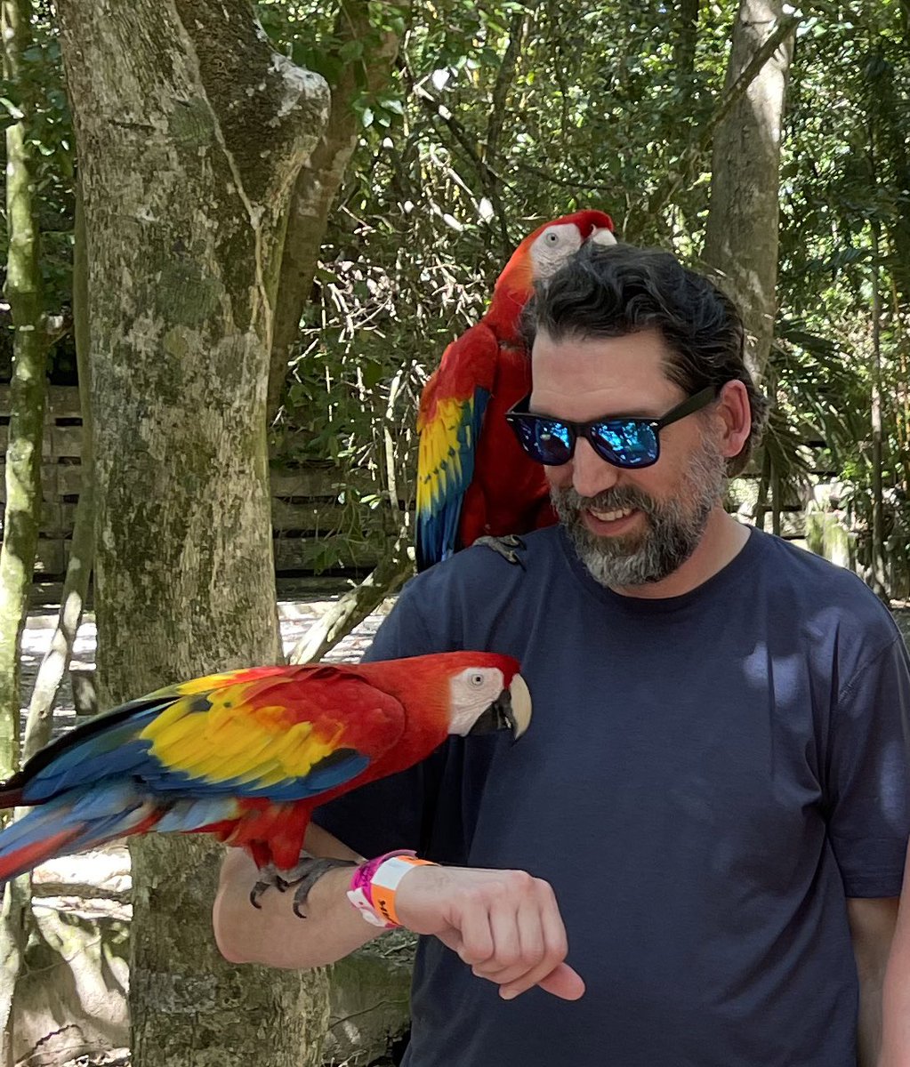 HumanzeesUncle's tweet image. “I can't stand in line at the store
The mean little people are such a bore
But it's all right if you act like a turd
'Cause I like
Birds” - Mark O. Everett