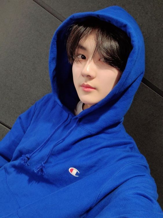 63won's tweet image. hello, I'm Wren! I'm looking for interactive moots

✮ he / him, filo 
✮ not new to #stantwt &amp;amp; #kpoptwt
✮ any fandom is welcome! 

↺ / ♡ are much appreciated