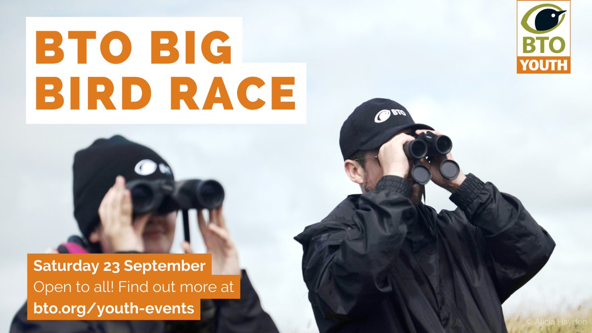 📢BTO's Big Bird Race is on Saturday 23 September! 

Bring your friends and family together for a fun day of birdwatching to celebrate our 90th anniversary 💫
