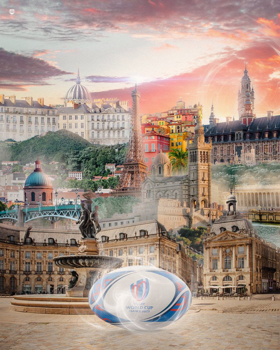 SD MANAGEMENT tweet media