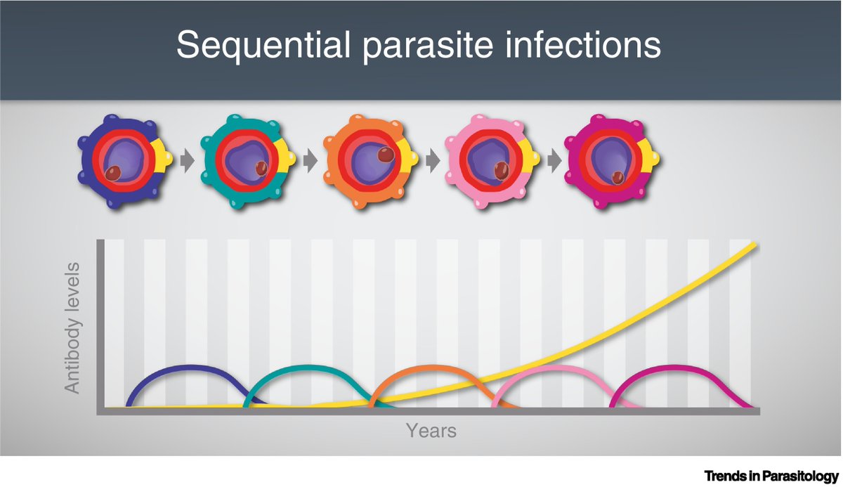 TrendsParasitol's tweet image. Drs Michael Good &amp;amp; Stephanie Yanow discuss an #epitope-based strategy for a #subunit #malaria #vaccine. @GlycoGriffith @Griffith_Uni @UAlberta #SubunitVaccine

authors.elsevier.com/a/1hj255Eb1xFU…