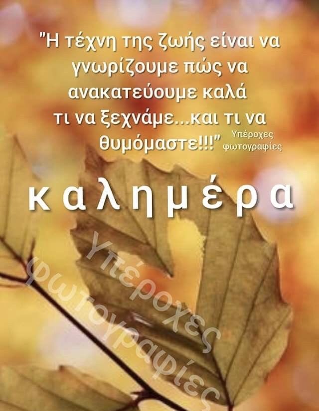 g_rodis's tweet photo. 🌺🌺 https://t.co/OePV5fYsnx