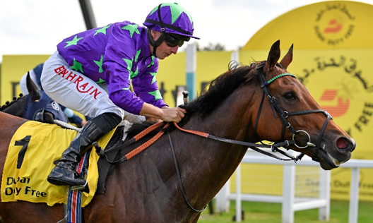 DDFRacing's tweet photo. We are starting our ticket giveaways for this year’s Dubai Duty Free International Weekend @NewburyRacing! Simply follow and RT for a chance to win two tickets for Saturday 23rd September and enjoy a great day of racing! #DDFInternationalWeekend#DDFRacing https://t.co/7VMiFTKvi2