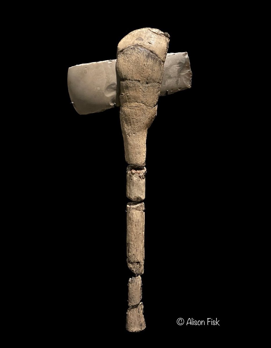 A very rare find! 🤩

A 5,000 year-old Neolithic polished flint axe with its original ash wood handle still preserved!

From Sigerslev bog, eastern Zealand. On display National Archaeological Museum of Denmark.

#Archaeology