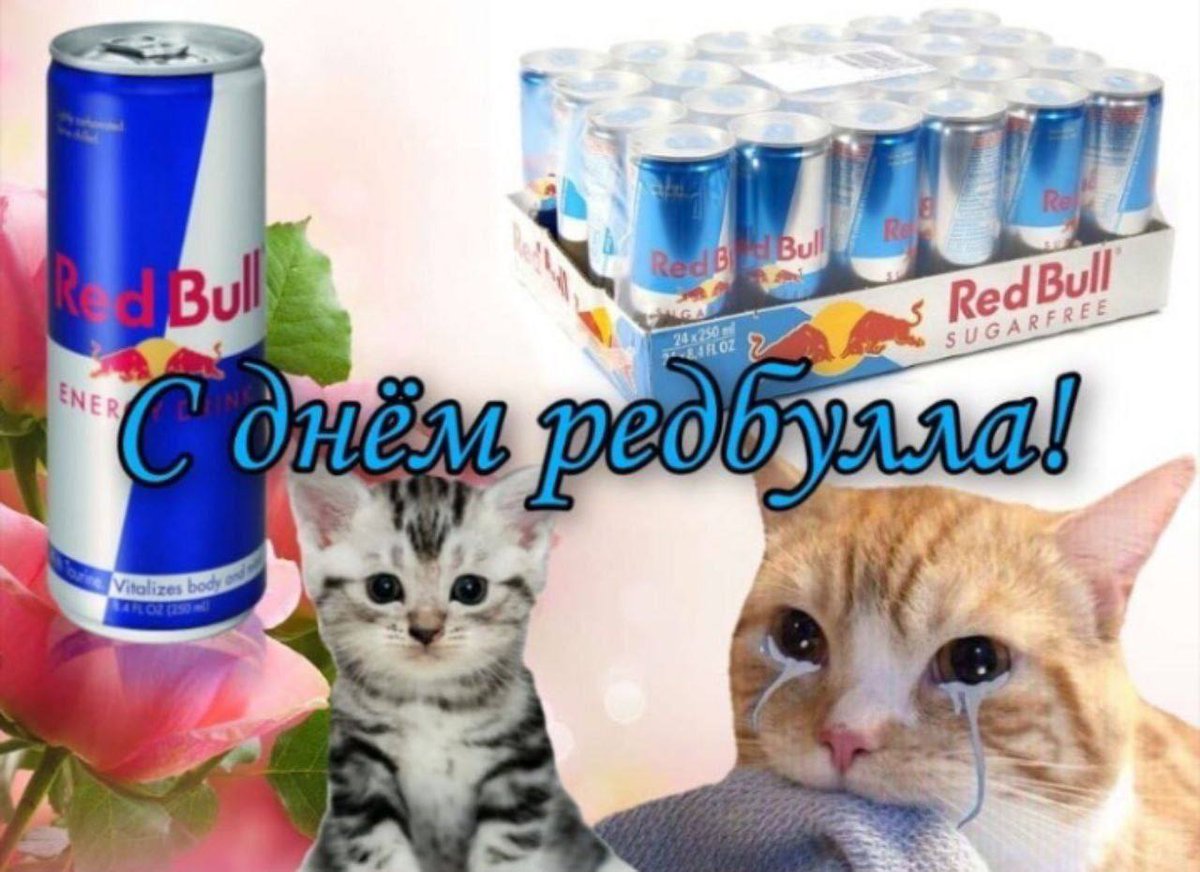 RussianMemesLtd's tweet photo. Happy redbull day! https://t.co/sT8GFnHE4m
