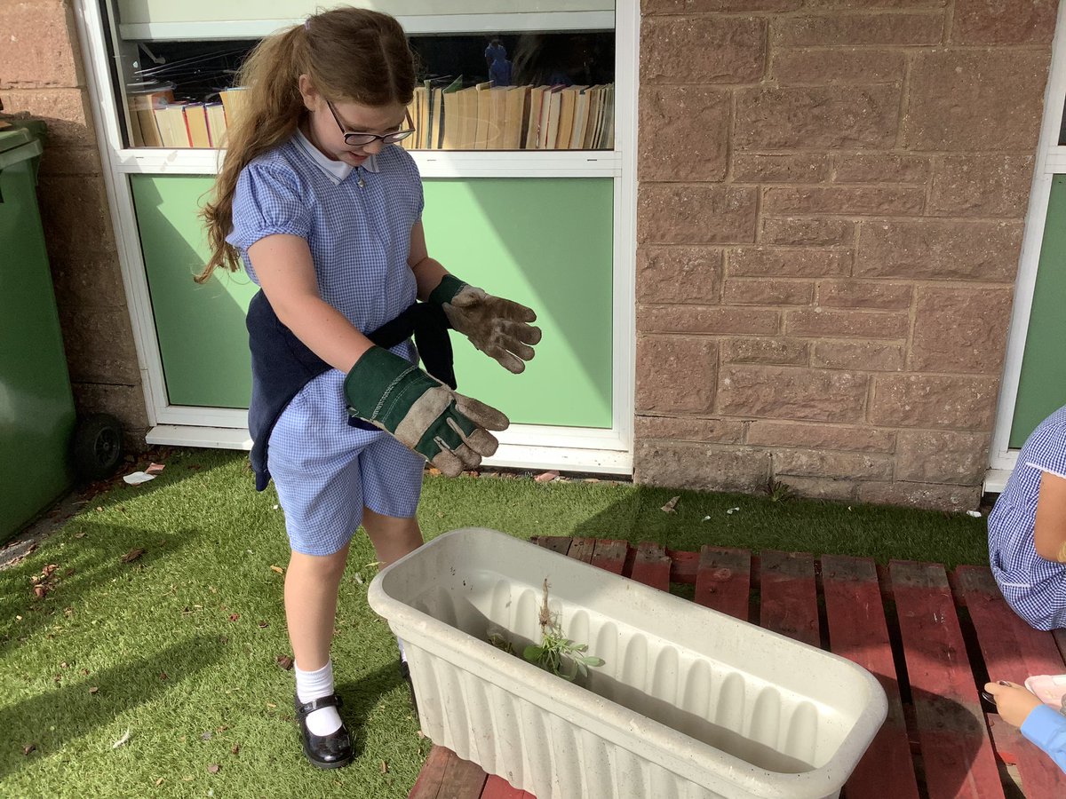 Weston-under-Penyard Primary tweet media