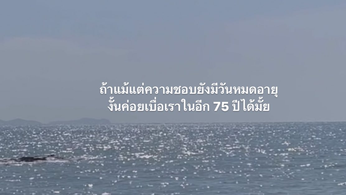 기 tweet media