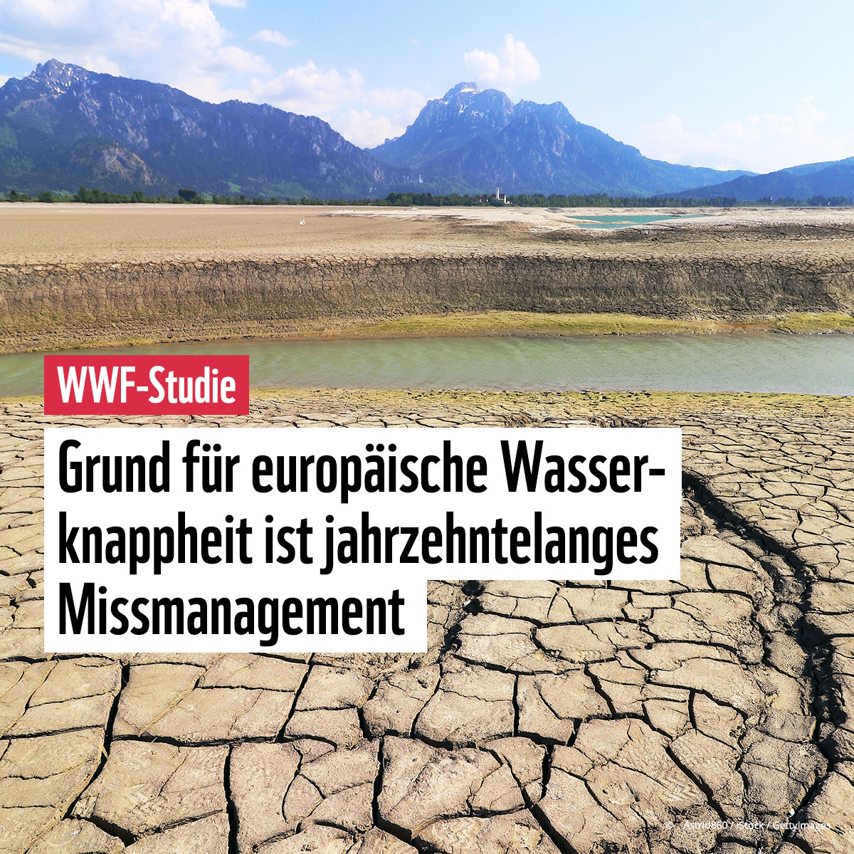 Wir haben ein Wasser-Problem.🌊🛑Und dafür sind wir selbst verantwortlich! 
Schlechtes Wassermanagement sorgt praktisch überall in Europa für Wassermangel - u.a., weil Feuchtgebiete trockengelegt & Flüsse gestaut wurden. 
Das muss anders werden➡️ wwf.de/2023/september…