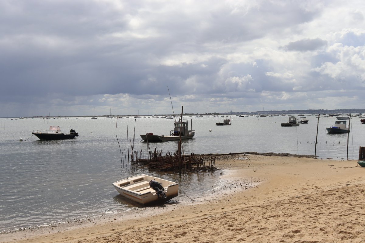 Taking a break from science 😎✨
I loved that place 😍
Cap Ferret, France August 2023