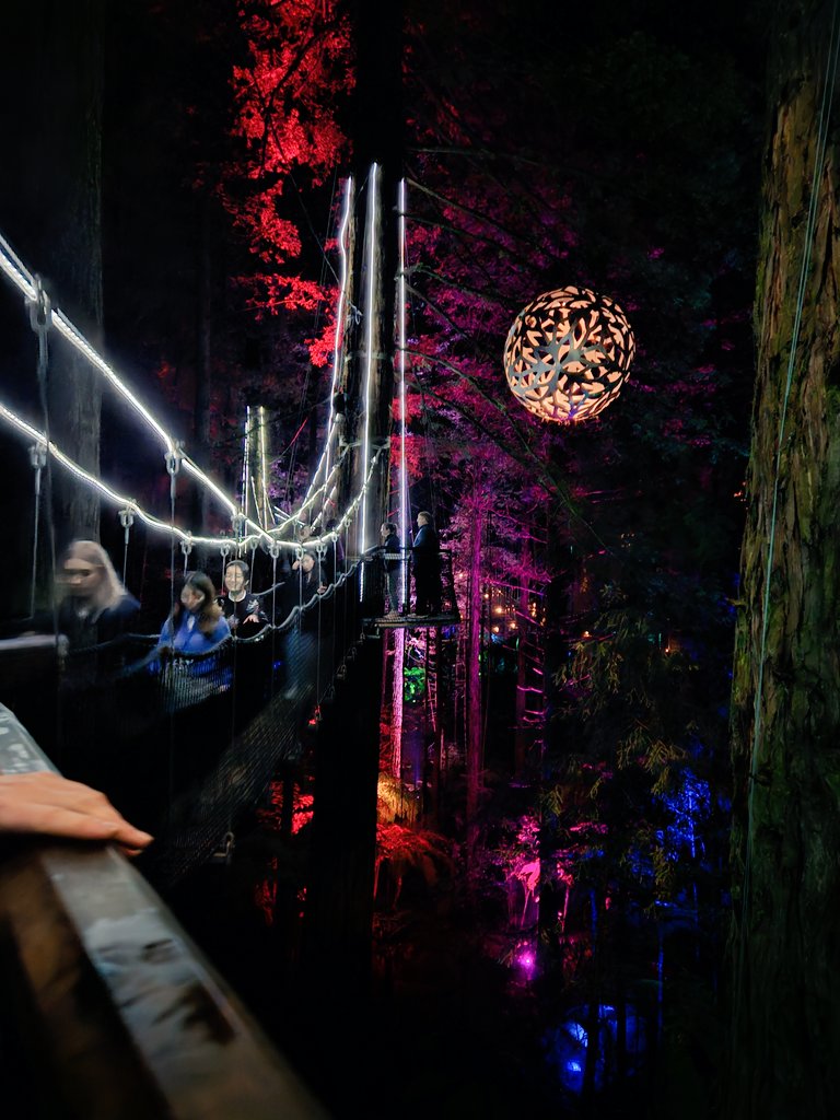 jime beltrame tweet media