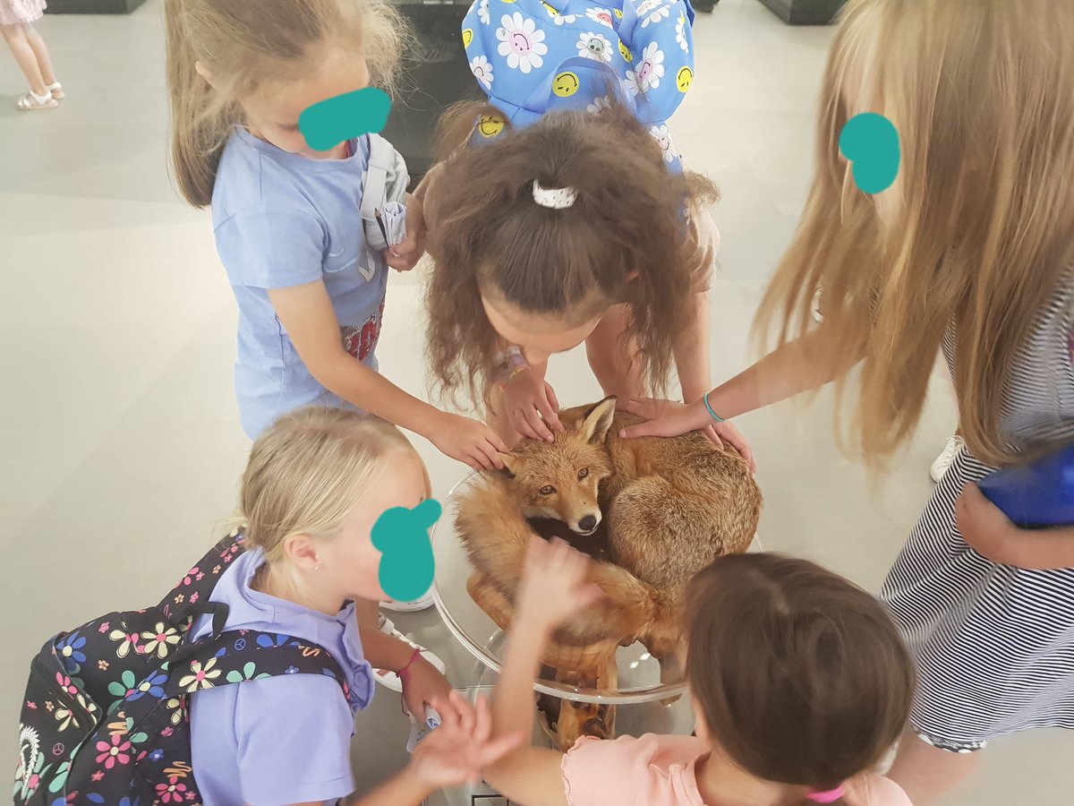 We're on the home straight now with just less than a month of "Wild" <a href="/BarumMuseum/">Museum of Barnstaple and North Devon</a> we've loved seeing all the photos of you enjoying the exhibition. Lots of #wildlife fun! #exhibitions #museums #galleries #familyfun #devon #wild #britishwildlife