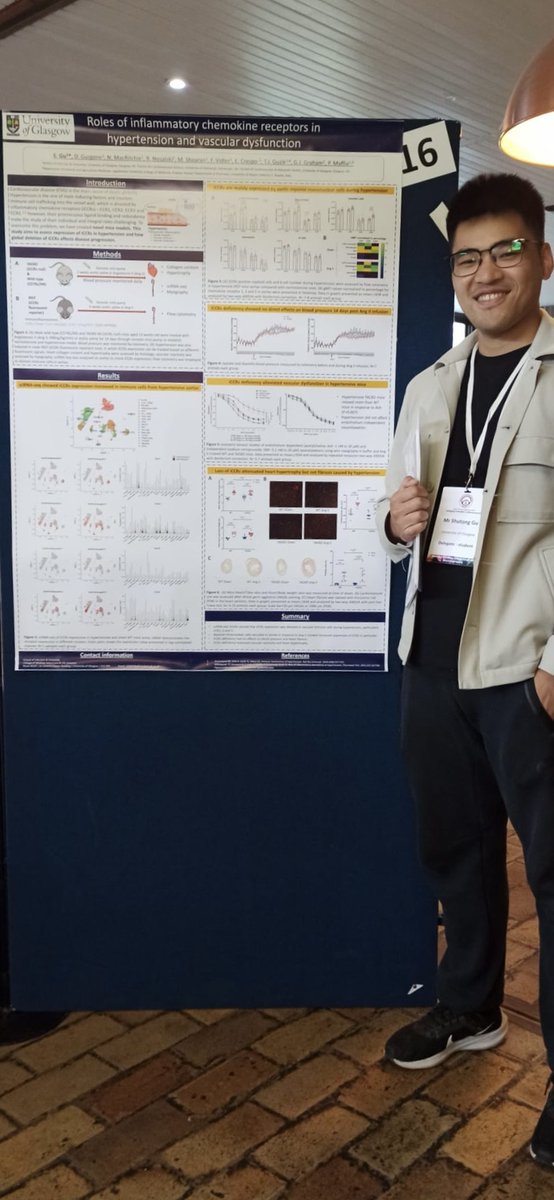 Right from @britathsoc congress, @shutong_gu from @NanoMateScience presenting his work on inflammatory chemokine receptors in hypertension and vascular dysfunction @CVR_TomaszGuzik @UofGSii #BAS2023