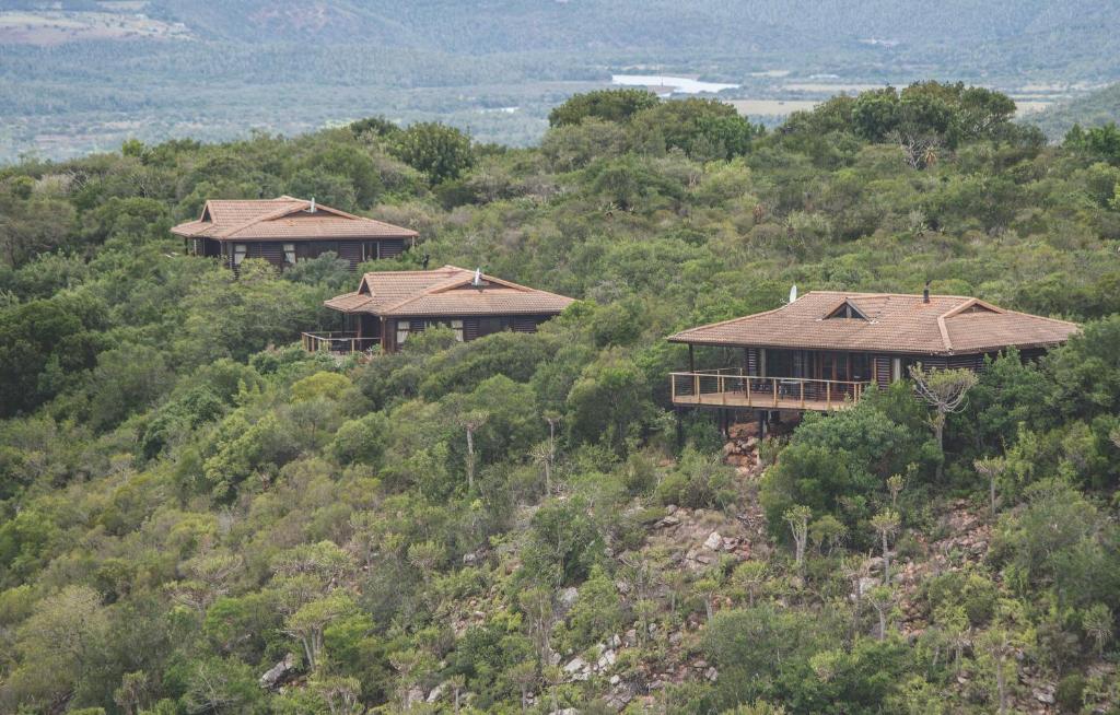 Kariega Game Reserve 

Where Is It: South Africa’s Eastern Cape 

We’ve Stayed There: 2 times.

#luxurysafari #gamereserve #big5 #conservation #malariafree #africanbush #luxurysuites #tripofalifetime #romantic #ecosystems #birdlife #privatecook #gameranger #gamedrives
