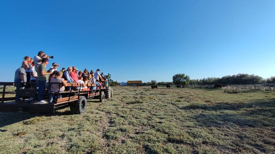 150 Aficionados visitan la finca de Yonnet
infotauro.com/150-aficionado…