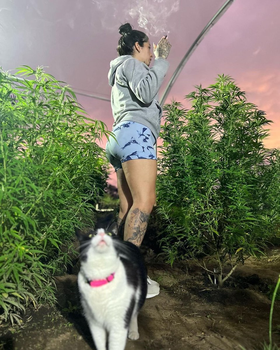 Cannabis in one hand. Confidence in the other. God is good.

#cannabis #weedlife #CannabisCommunity #CannaLand #Mmemberville #420friendly #WeedLovers #smokingqueen #marihuana