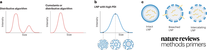 MethodsPrimers's tweet photo. New Comment from @OFKLab! Best practices for characterizing RNA lipid nanoparticles

Adhering to 7 best practices on the collection, interpretation and reporting of characterization data will improve early-stage research and promote clinical translation.

https://t.co/21JdOAy0Pz https://t.co/CSKwwERq8I