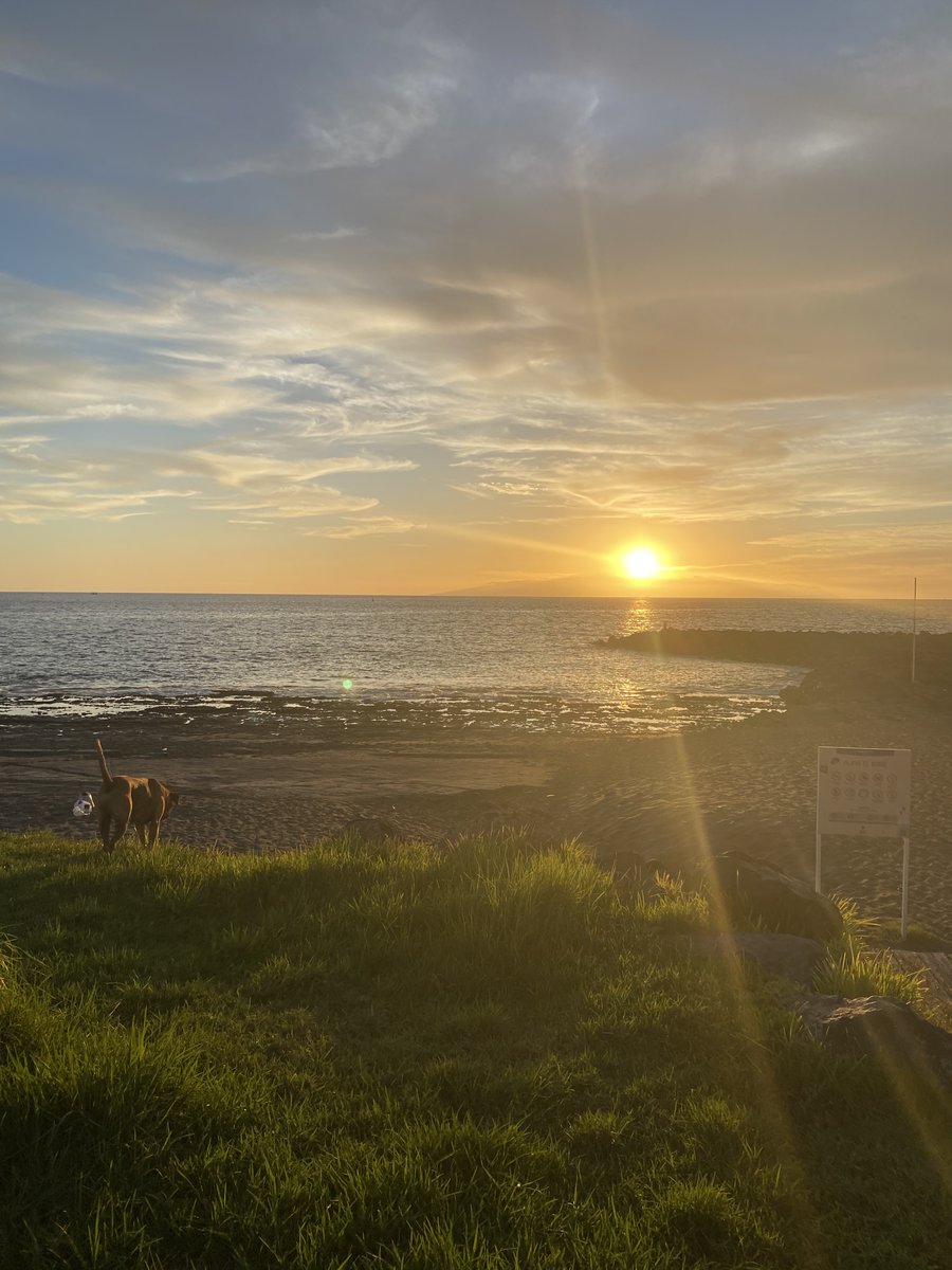 sunroof_inside's tweet photo. Sunsets in #Tenerife! Beautiful, aren't they? #erasmusforyoungentrepreneurs #EYE #EIW3 #sunsets https://t.co/bcx8WVnYav