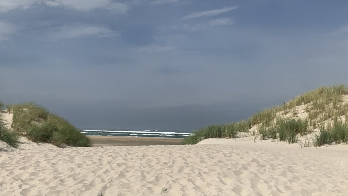 WeeDogWalker's tweet photo. @WeatherCee Boiling here in Donegal, very weird!
Not that I’m complaining, miles up on miles of golden sand on isolated beaches! https://t.co/F26EiB0upF