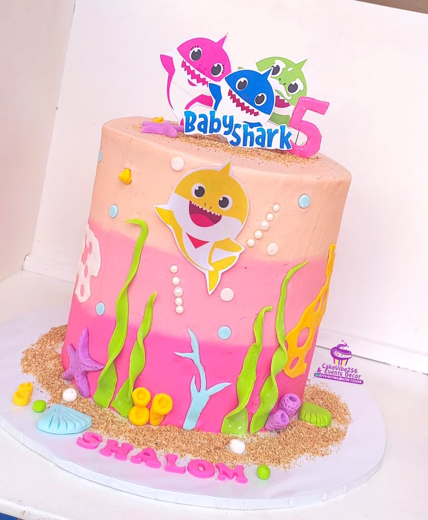 cakevibe256's tweet photo. Character cake
#BabyShark
Thank you Engineer @JohnPaulGu for trusting us to bake your daughter’s 5th birthday cake. We appreciate your support. We wish the birthday girl a splendid birthday
#CharacterCakes #Birthday https://t.co/FiqlqHUsii