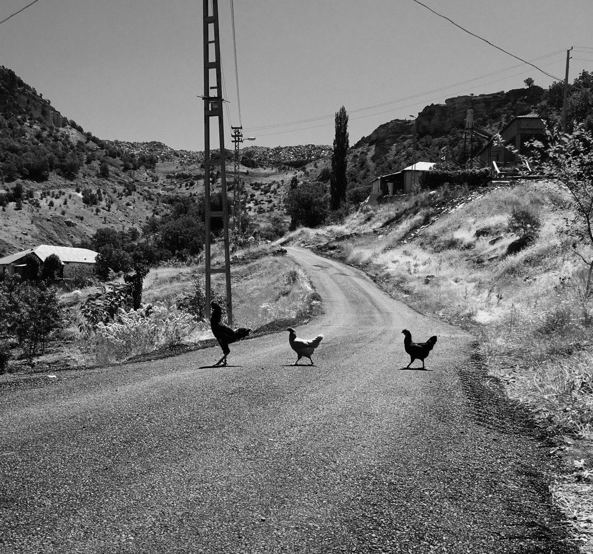"İnsan olarak bu dünyada kendi sınırlarımızı anlamanın ve eylemlerimizin sonuçlarıyla yüzleşmenin olanağı var mı? 

Doğa Kent İnsan çağrısı, fotoğraf ve videolarınızı paylaşmanızı bekliyor.

🔗sehrebak.org

📸 Mehmet Yenen

<a href="/bedizyilmaz1/">byb</a> 
<a href="/anadolu_kultur/">Anadolu Kültür</a>