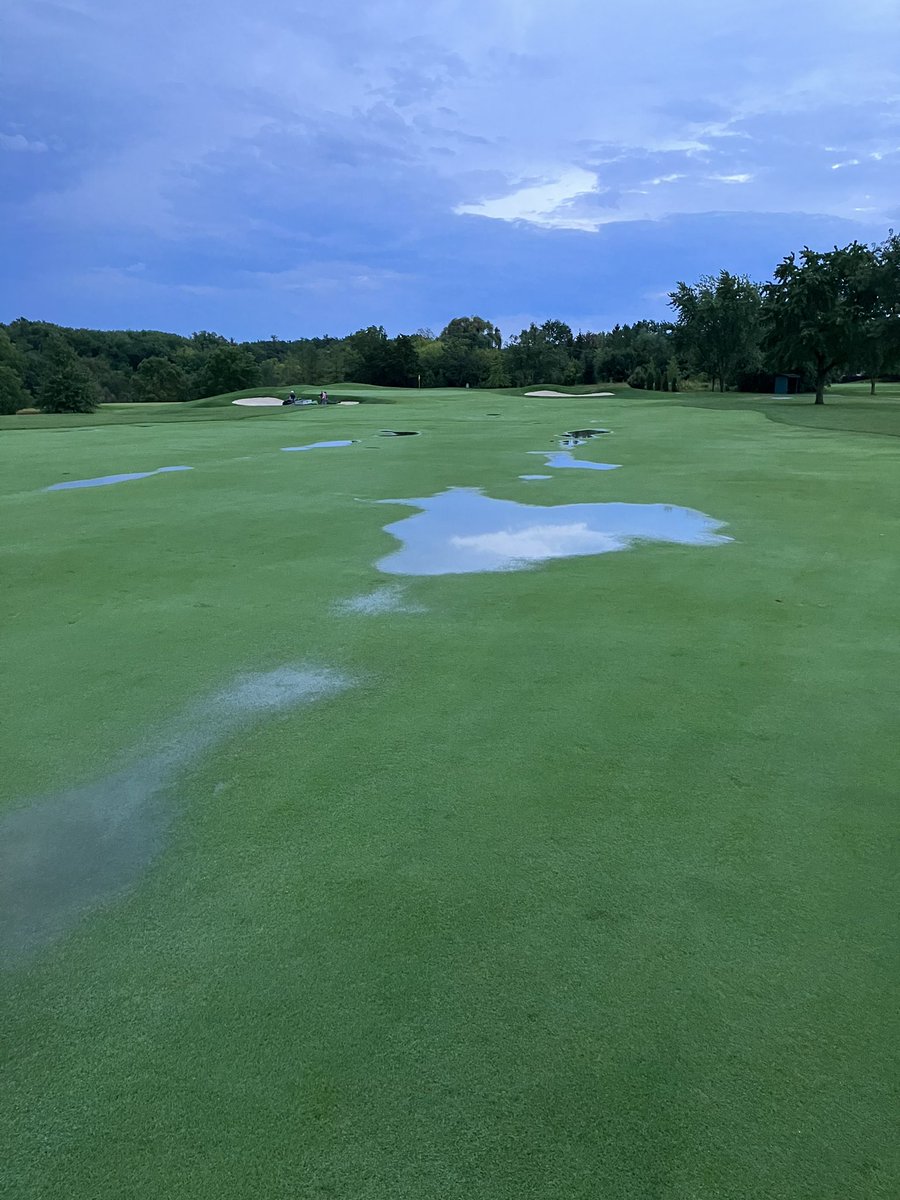 Dan Sliasas tweet media