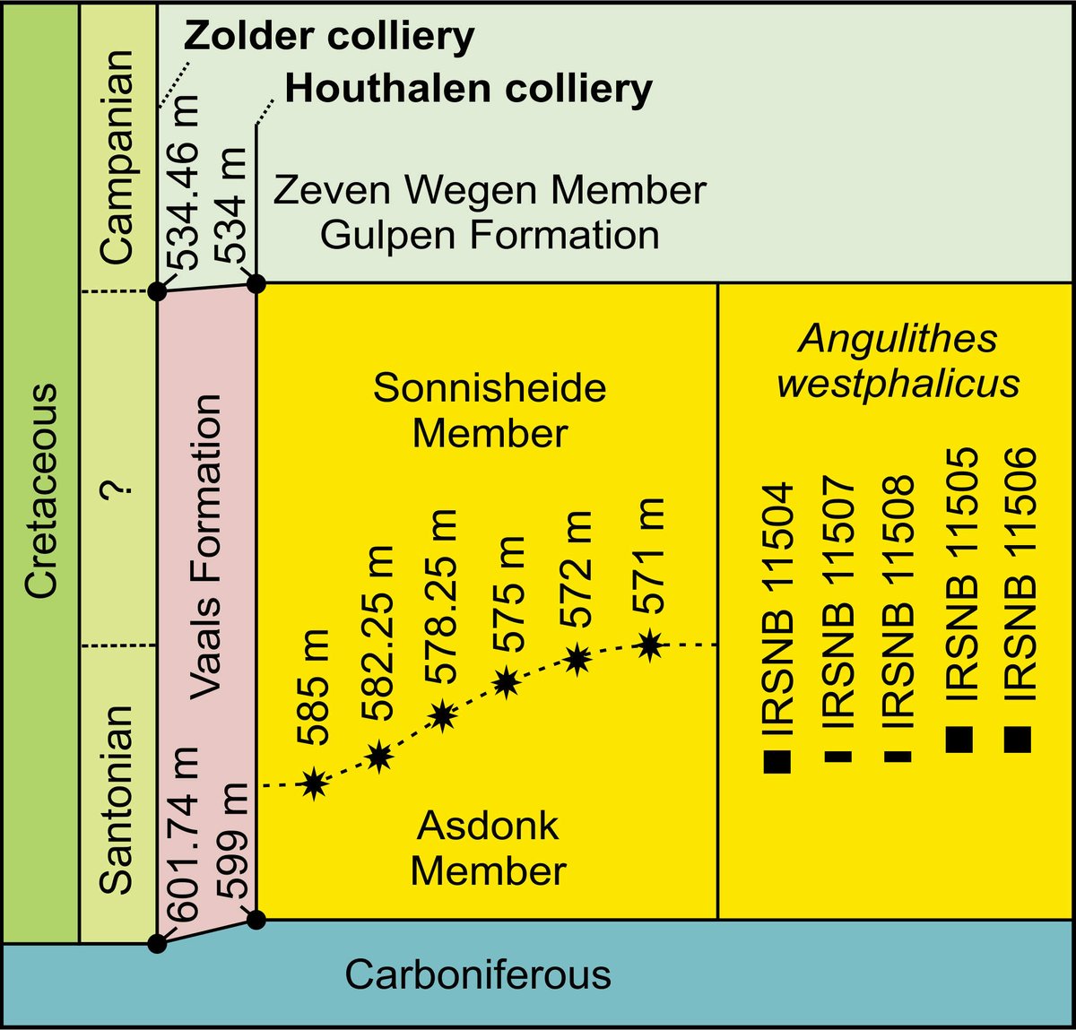 GoolaertsStijn's tweet image. Beautiful nautilids and crustaceans from the Santonian of the 🇧🇪 Campine! #OpenAccess in
@GeolBel_journal! From the #Zolder &amp;amp; #Houthalen coal mines, many hundreds of meters below surface! With comments on the Asdonk &amp;amp; Sonnisheide Mbrs (Vaals Fm)
@CtCeph popups.uliege.be/1374-8505/inde…