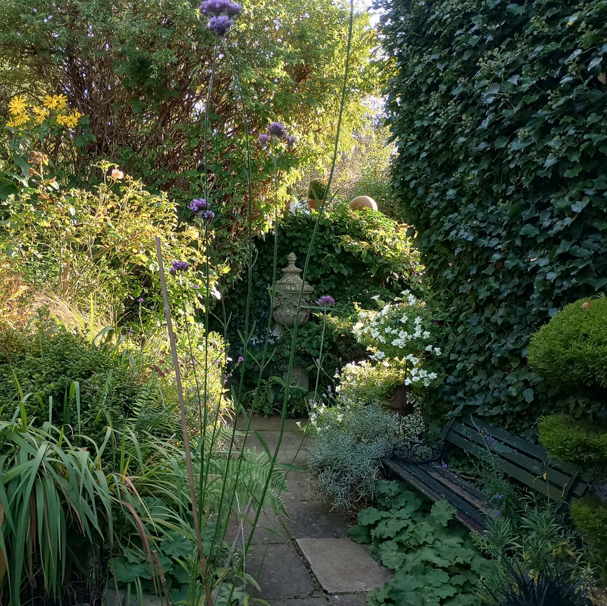 September evening light in the garden #mygarden #indiansummer #gardendesign