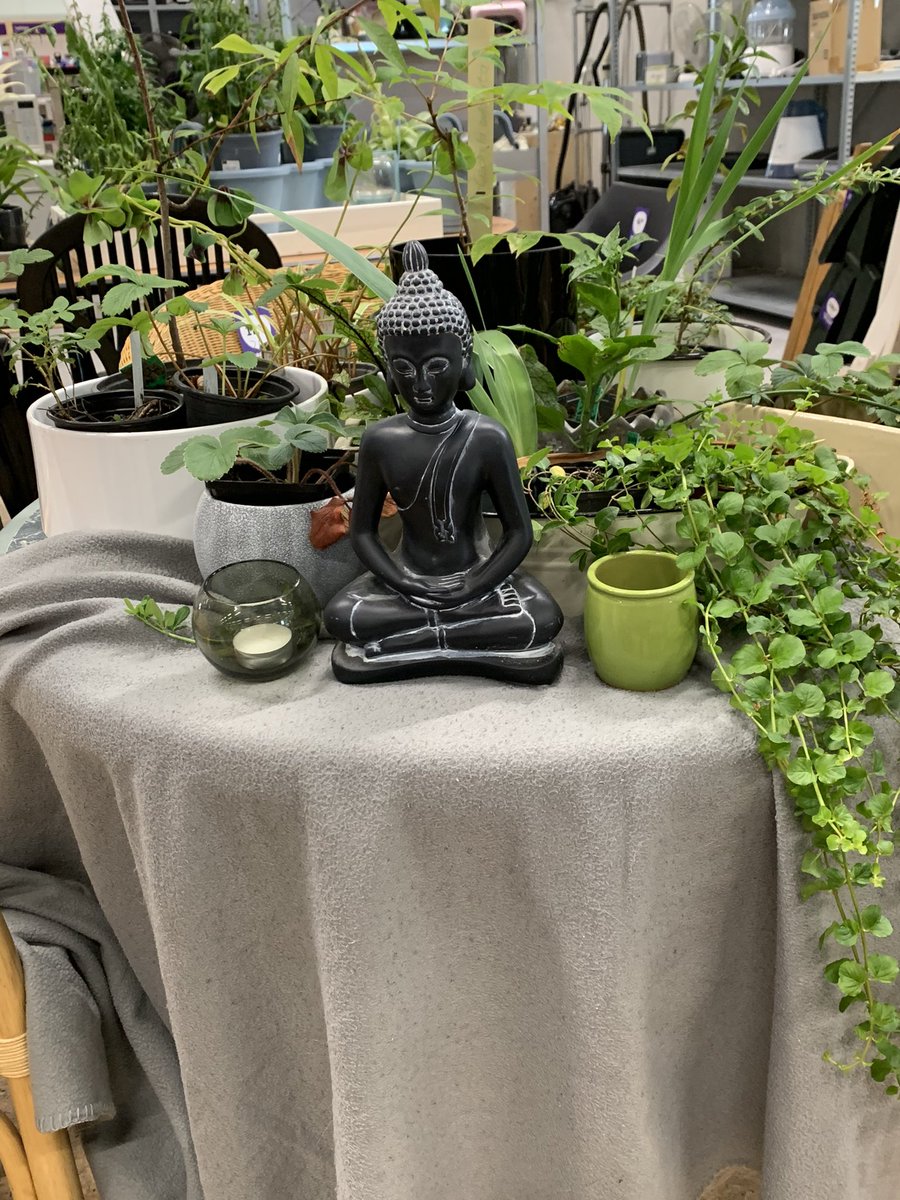tamaravanhaaren's tweet photo. I still have burn out issues. But I work now 4 hours at our store and I love it ❤️ #hetgoed https://t.co/kXmGsyxBX4
